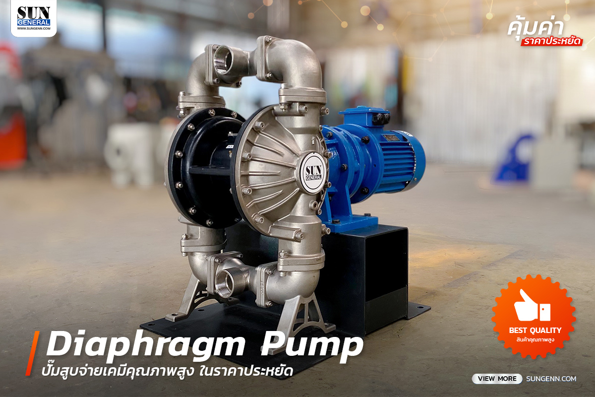 Diaphragm Pump รุ่น BFDS-50 – ปั๊มสูบจ่ายเคมีคุณภาพสูง ในราคาประหยัด